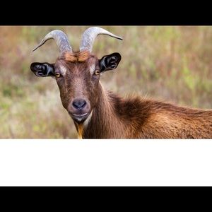 Meet your Posher, Jon